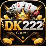 DK222 Game