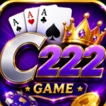 C222 Game 2026