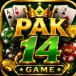 Pak14 Game