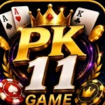 PK11 Game APK