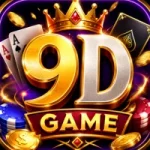 9D
